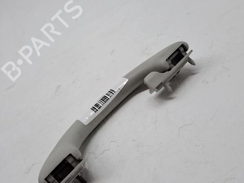 Interior roof handle SKODA FABIA II (542) 1.2 12V | BP26492396I35 