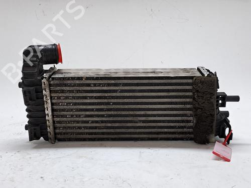 Intercooler FORD TRANSIT CONNECT V408 Box Body/MPV 1.6 TDCi | BP25998317M30 