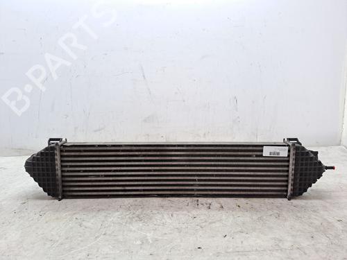 Used Intercooler FORD KUGA II (DM2) 1.6 EcoBoost (150 hp) 23366369