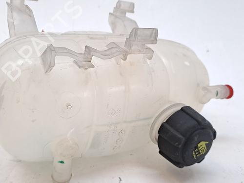Expansion tank RENAULT TRAFIC III Van (FG_) 2.0 dCi 130 (FGMY) | BP29024545C120 