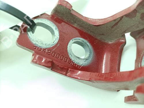 Hinge/Door check strap RENAULT FLUENCE (L3_) 1.5 dCi (L30D, L30L, L306, L33F, L33L, L33M, L33V, L33W) | BP29228071C146 