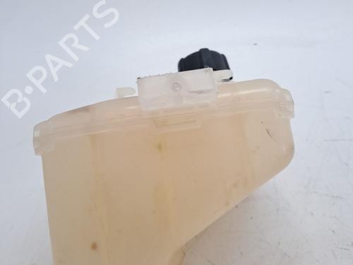 Expansion tank RENAULT TWINGO II (CN0_) 1.5 dCi (CN0E) | BP23367061C120 