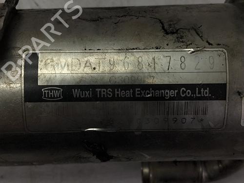 Egr CHEVROLET CAPTIVA (C100, C140) 2.0 D | BP35779411M69 - Image 2