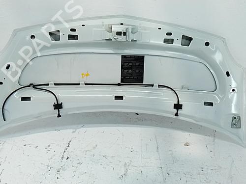 Used Hood Hood RENAULT KANGOO BE BOP (KW0/1_) 1.5 dCi 75 (75 hp) 35946997 35946997