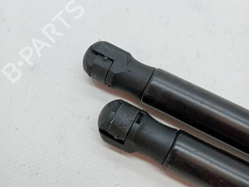 Tailgate lift support LAND ROVER RANGE ROVER SPORT I (L320) 3.0 D 4x4 | BP23353419C138 