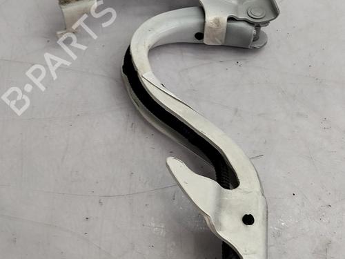 hingedoor-check-strap-fiat-500e-332_-2020-36540104 main image