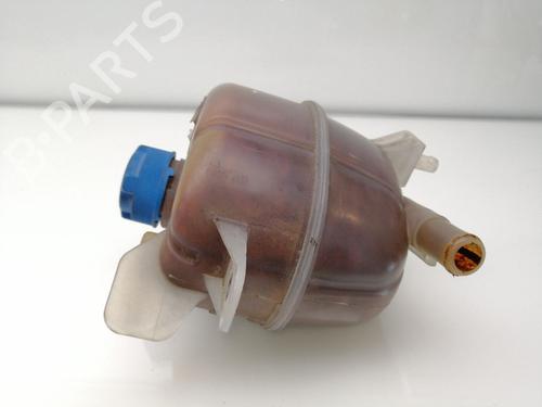 Expansion tank FIAT FIORINO Box Body/MPV (225_) 1.3 D Multijet (225BXD1A, 225BXB1A, 225BXB11) | BP23420043C120 
