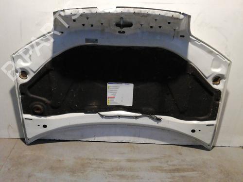 Hood FIAT PUNTO (188_) 1.2 60 (188.030, .050, .130, .150, .230, .250) | BP25987940C1 