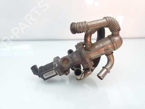 Egr FIAT GRANDE PUNTO (199_) 1.2 | BP23457842M69 