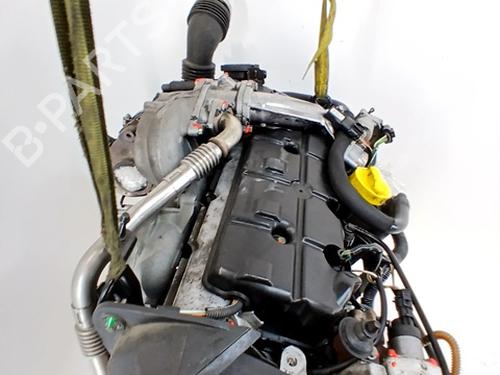 Engine RENAULT MEGANE II (BM0/1_, CM0/1_) 1.9 dCi | BP30336964M1