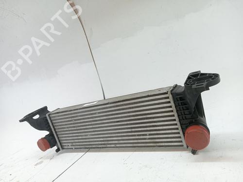 Intercooler IVECO DAILY VI Van 33S16, 35S16, 35C16, 38S16, 40C16, 42S16, 50C16 | BP24874494M30 