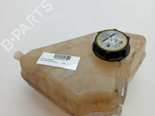 Used Expansion tank FORD FIESTA VI (CB1, CCN) 1.4 TDCi (68 hp) 23342286