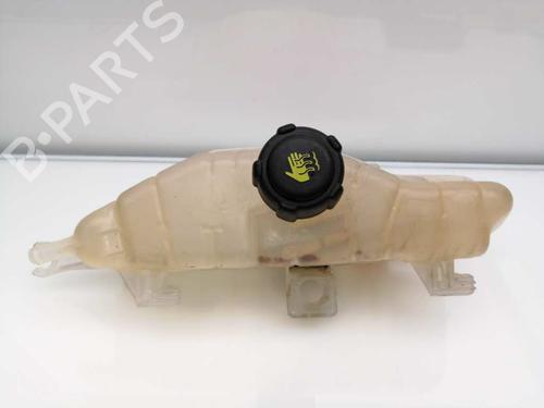 Expansion tank RENAULT CLIO III (BR0/1, CR0/1) 1.5 dCi | BP23404578C120 