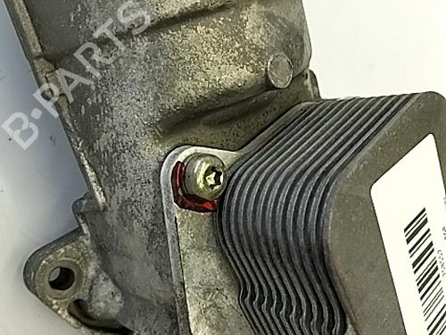 Egr BMW 3 (E90) 320 d | BP29303167M69 