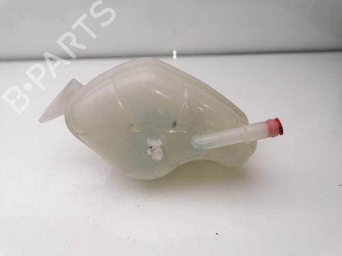 Expansion tank NISSAN QASHQAI II (J11, J11_) 1.3 DIG-T | BP25458013C120 
