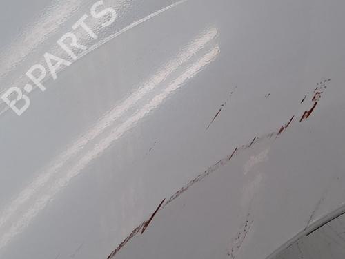 Left front fenders RENAULT KANGOO Express (FW0/1_) 1.5 dCi 70 (FW0A, KW0V) | BP26192325C41 