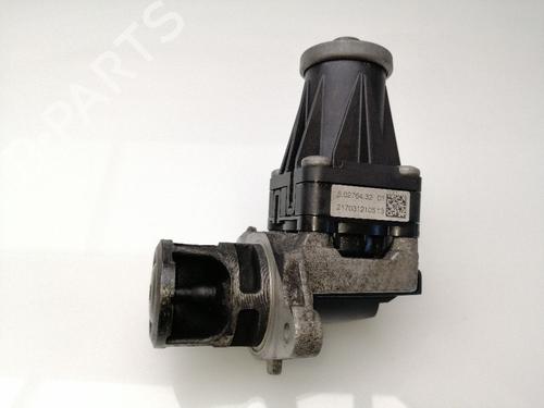 Used Egr FIAT QUBO (225_) 1.3 D Multijet (225CXB1A, 225AXB1A, 225CXB11, 225AXB11,... (75 hp) 23651572