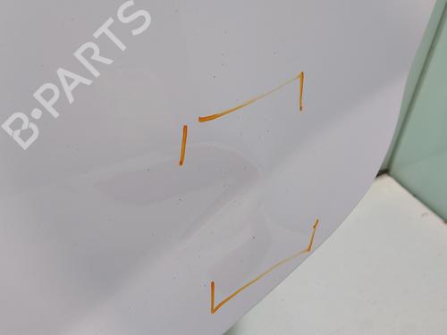 Left rear door FIAT GRANDE PUNTO (199_) 1.3 D Multijet | BP24925709C4 