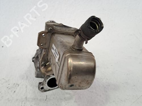 Egr RENAULT MEGANE III Coupe (DZ0/1_) 1.9 dCi (DZ0N, DZ0J, DZ1J, DZ1K) | BP27378044M69 