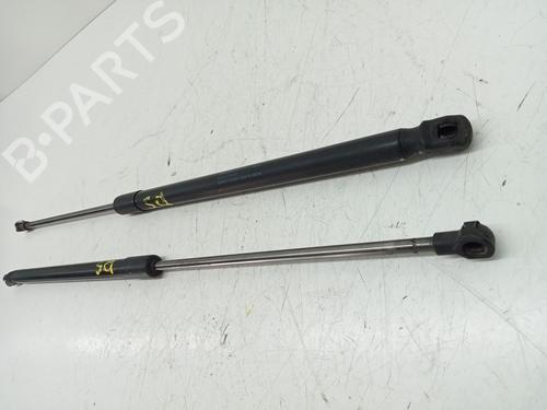 Tailgate lift support SEAT IBIZA IV (6J5, 6P1) 1.2 TSI | BP29301768C138 