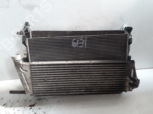 Varmeapparat RENAULT MEGANE II (BM0/1_, CM0/1_) 1.9 dCi (BM0G, CM0G) (120 hp) 25459979