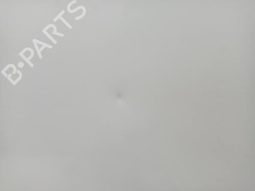 Right front door RENAULT SCÉNIC III (JZ0/1_) 1.5 dCi | BP23351161C3 