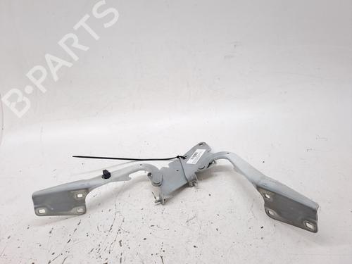 Used Hinge/Door check strap RENAULT MEGANE III Hatchback (BZ0/1_, B3_) 1.5 dCi (BZ09, BZ0D, BZ1W, BZ29, BZ14) (110 hp) 27359052