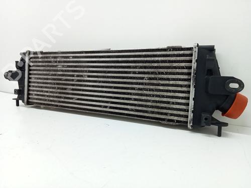 Intercooler NISSAN PRIMASTAR Van (X83) 2.0 dCi 90 | BP28179310M30 