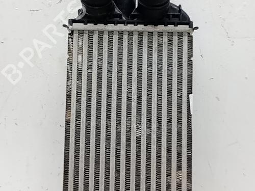 Used Intercooler Intercooler CITROËN C3 IV (CC_, CB_) 1.2 PureTech 100 (CCHPV4) (101 hp) 36522964 36522964