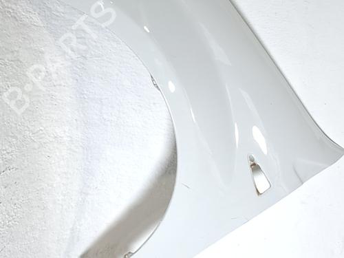 Used Left front fenders DACIA SANDERO 1.2 16V (75 hp) 32289217