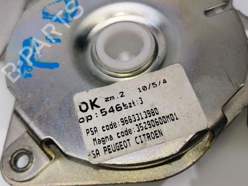 Used Tailgate lift support PEUGEOT 3008 I MPV (0U_) 2.0 HDi 150 / BlueHDi 150 (150 hp) 23405097