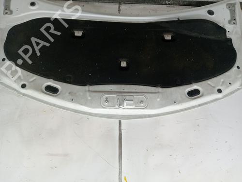 Hood RENAULT CLIO III (BR0/1, CR0/1) 1.5 dCi (BR17, CR17) | BP23374545C1 