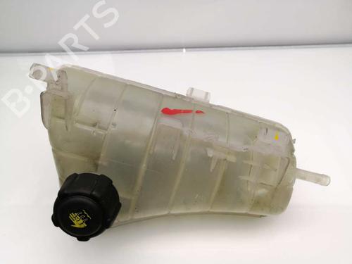 Used Expansion tank RENAULT KANGOO Express (FW0/1_) 1.5 dCi 70 (FW0A, KW0V) (68 hp) 23383024