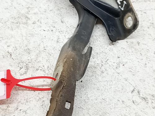 Used Hinge/Door check strap Hinge/Door check strap 39136764 39136764
