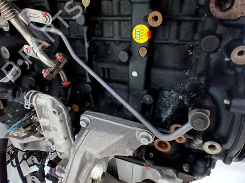 Engine RENAULT SCÉNIC IV (J9_) 1.7 Blue dCi 120 (J9A7, J9A8) | BP29384864M1 