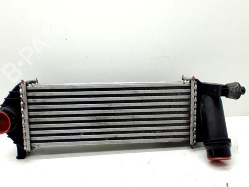 Used Intercooler RENAULT KANGOO / GRAND KANGOO II (KW0/1_) 1.5 dCi 90 (KW18) (91 hp) 32336130