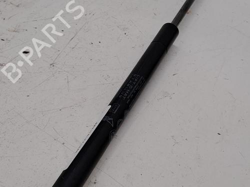 Used Hood lift support RENAULT MEGANE III Hatchback (BZ0/1_, B3_) 1.5 dCi (BZ09, BZ0D, BZ1W, BZ29, BZ14) (110 hp) 27463037