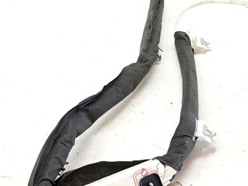 Used Left curtain airbag RENAULT MEGANE III Grandtour (KZ0/1) 1.5 dCi (KZ09, KZ0D, KZ1G, KZ29, KZ14, KZ1W, KZ10, KZ1F,... (110 hp) 31580055