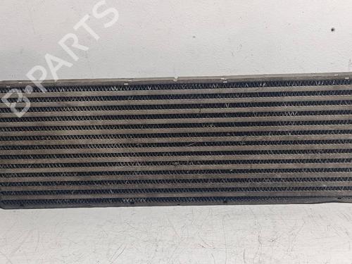 Used Intercooler RENAULT MEGANE II (BM0/1_, CM0/1_) 1.9 dCi (BM0G, CM0G) (120 hp) 26538073
