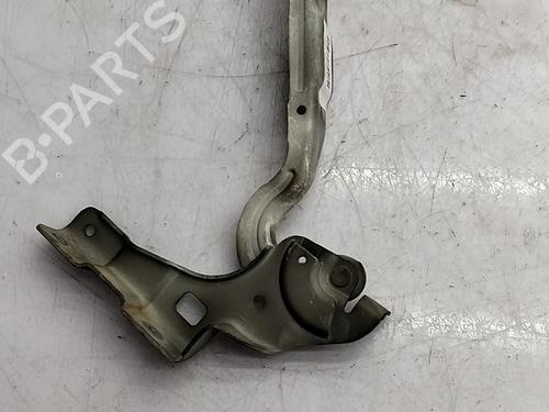 hingedoor-check-strap-citroen-c4-ii-nc_-2009-34497222 main image