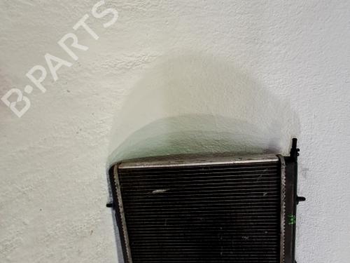 Used Water radiator PEUGEOT 206 Hatchback (2A/C) 1.9 D (69 hp) 29852256