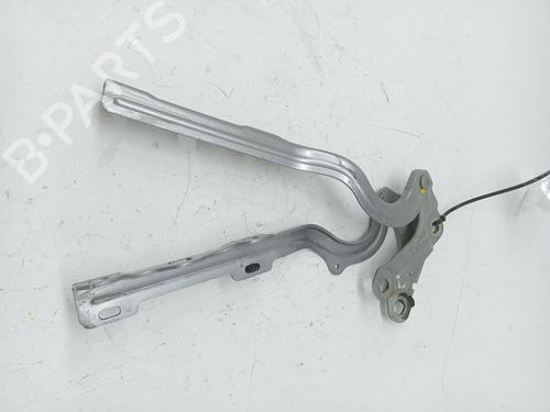 Hinge/Door check strap OPEL CROSSLAND X / CROSSLAND (P17, P2QO) 1.2 (75) | BP25833877C146 