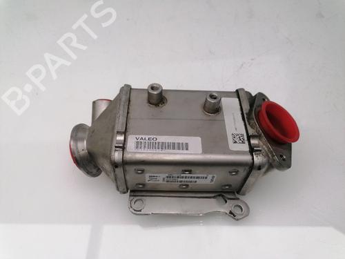 Egr für FIAT DOBLO Cargo (263_) 1.3 D Multijet (263WXU1A, 263ZXU1A, 263WYB1A, 263ZYB1A) (95 hp) 25999584