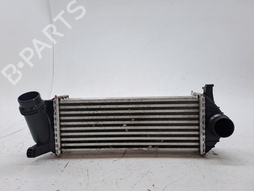 Intercooler RENAULT KANGOO / GRAND KANGOO II (KW0/1_) 1.5 dCi 90 (KW18) | BP27462254M30 