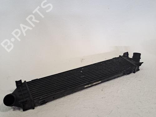 Intercooler FORD S-MAX (WA6) 2.0 TDCi (140 hp) 25737517