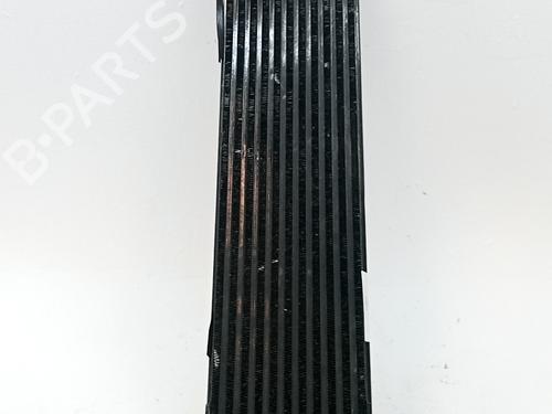 Intercooler Intercooler FORD MONDEO IV Saloon (BA7) 2.0 TDCi (140 hp) 36036281 36036281