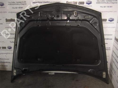 Hood RENAULT VEL SATIS (BJ0_) 2.2 dCi (BJ0E, BJ0F) | BP25465727C1