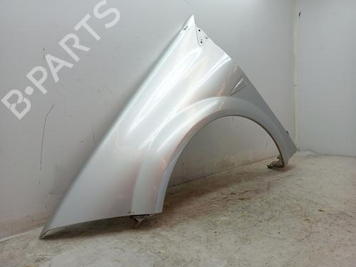 Left front fenders RENAULT MEGANE II (BM0/1_, CM0/1_) 1.5 dCi (BM02, BM13, BM2A, CM02, CM13) | BP23372418C41 