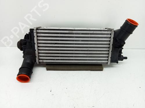 Used Intercooler FORD FIESTA VII (HJ, HF) 1.0 EcoBoost mHEV ACTIVE (125 hp) 29228307