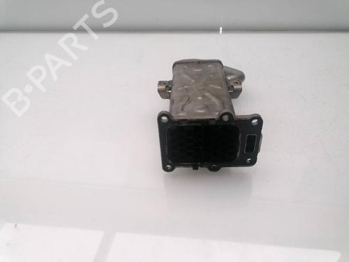Egr SEAT IBIZA IV (6J5, 6P1) 1.6 TDI | BP23421316M69 